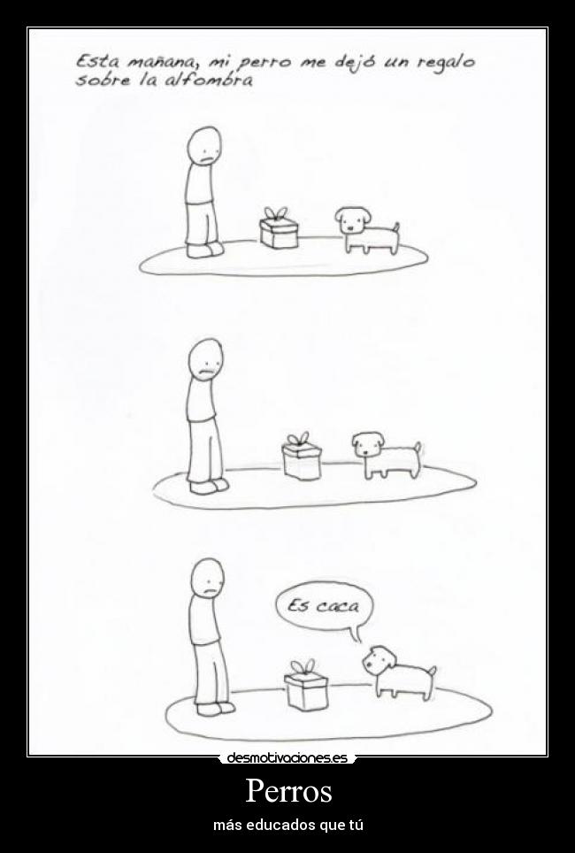Perros - más educados que tú