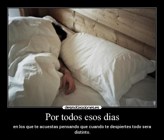 Por todos esos dias -