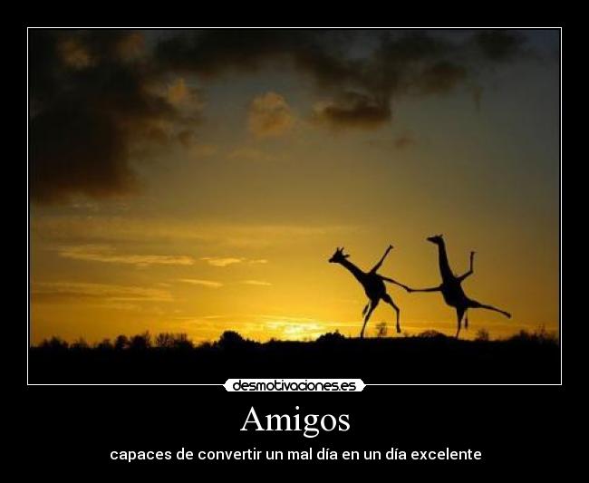 Amigos -