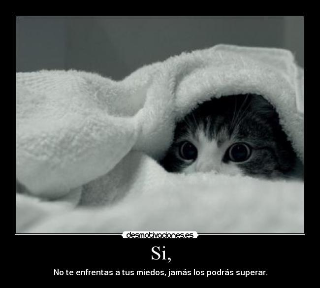 Si, - No te enfrentas a tus miedos, jamás los podrás superar.