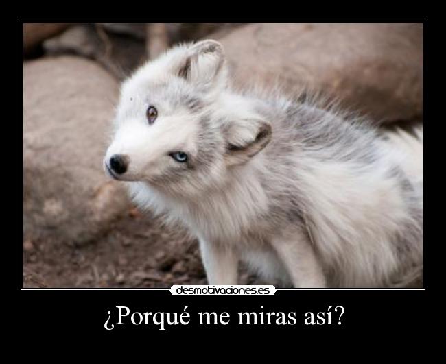 carteles desmotivaciones