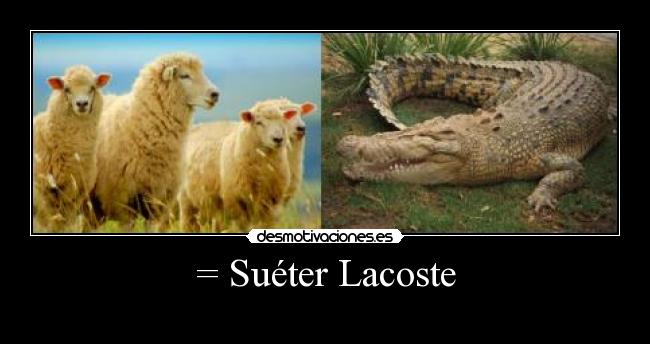 = Suéter Lacoste -
