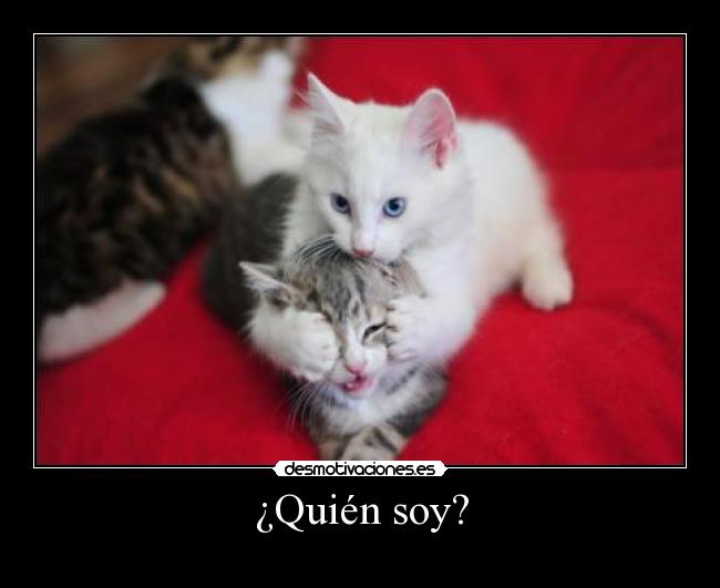 ¿Quién soy? - 