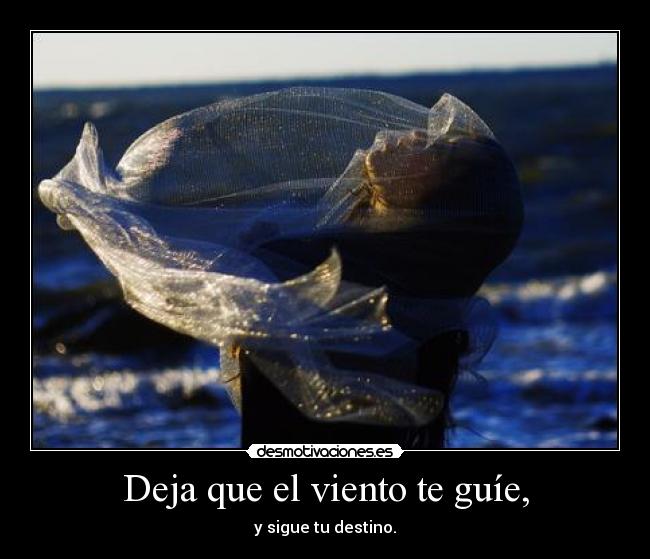 carteles m4rta desmotivaciones