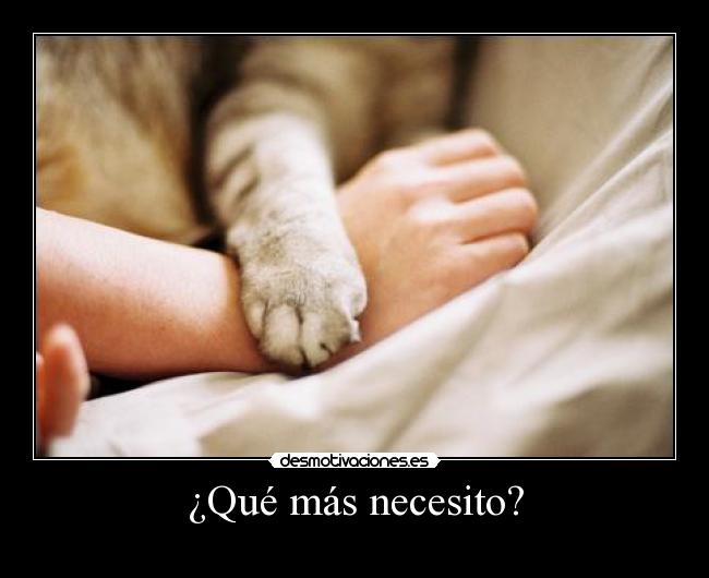 ¿Qué más necesito? -