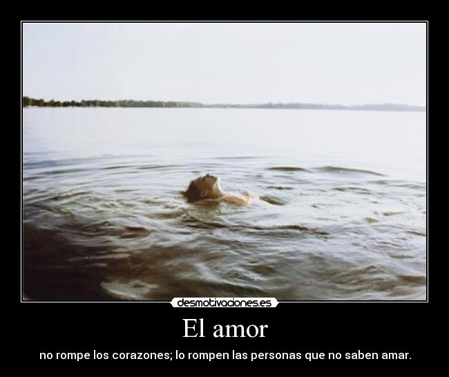 El amor - 