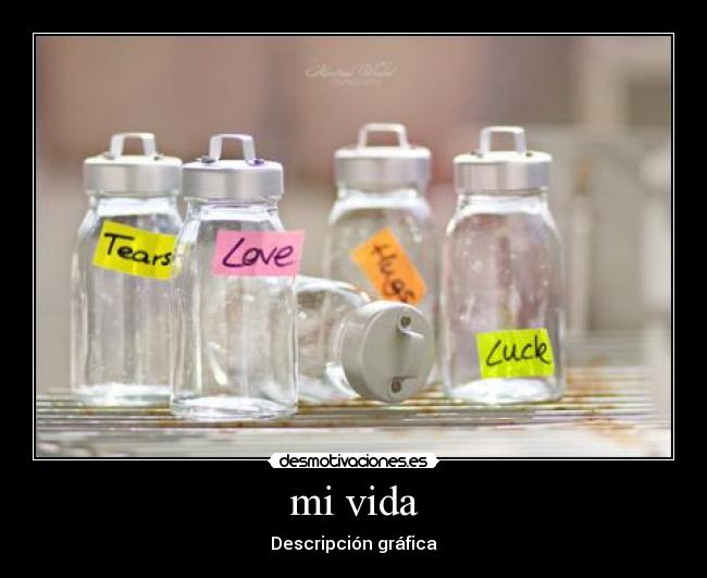 mi vida - Descripción gráfica