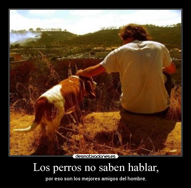 Los perros no saben hablar, - por eso son los mejores amigos del hombre.