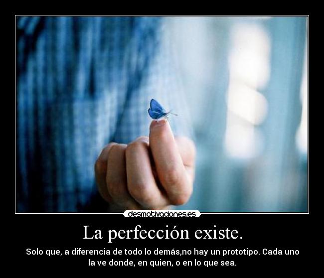 La perfección existe. - 