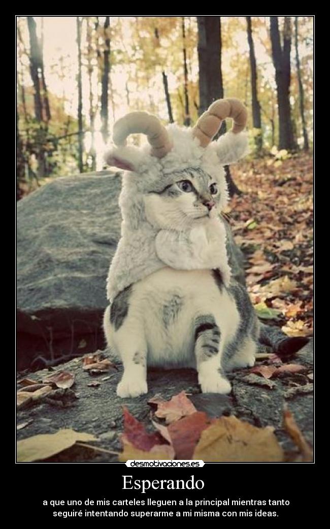 Esperando - a que uno de mis carteles lleguen a la principal mientras tanto
seguiré intentando superarme a mi misma con mis ideas.