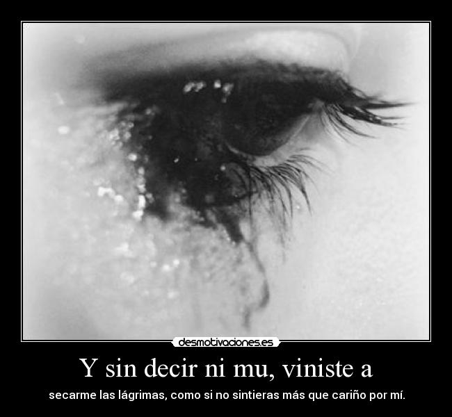 carteles dgadshaha desmotivaciones