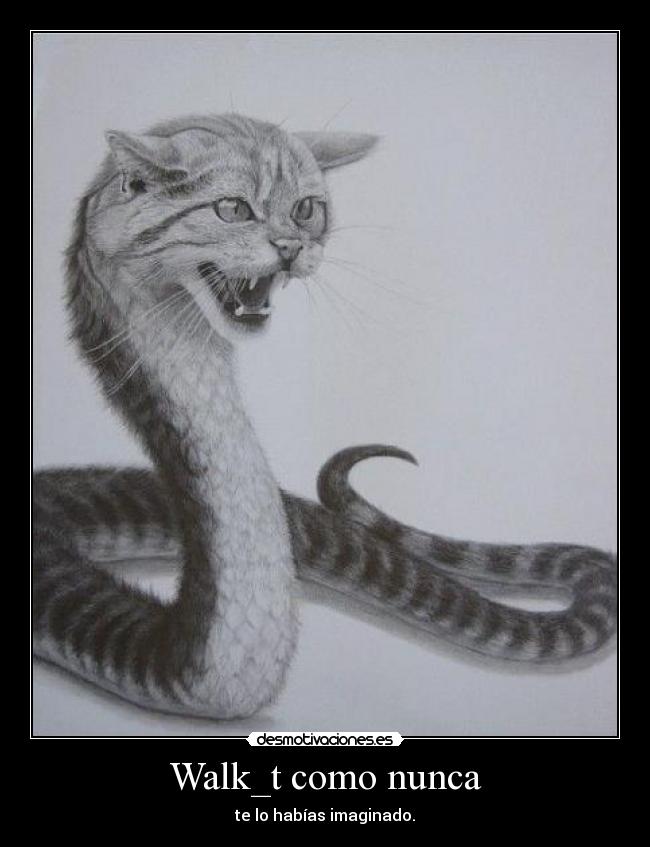 Walk_t como nunca - te lo habías imaginado.