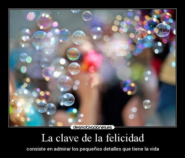 La clave de la felicidad - consiste en admirar los pequeños detalles que tiene la vida