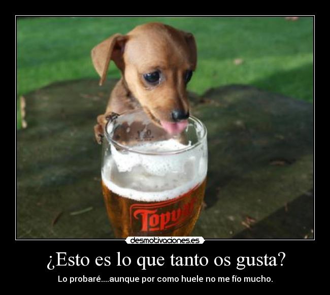 carteles none desmotivaciones