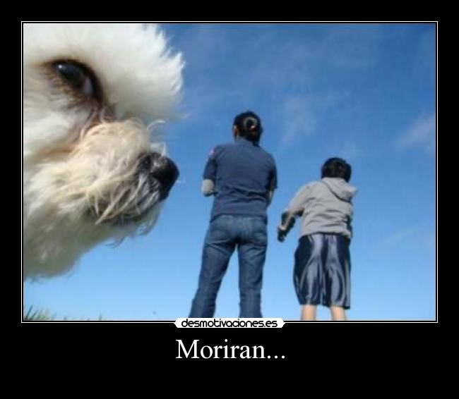 Moriran... -