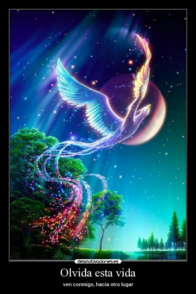 Olvida esta vida - 