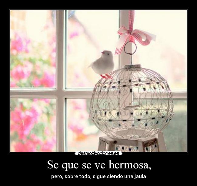 Se que se ve hermosa, - pero, sobre todo, sigue siendo una jaula