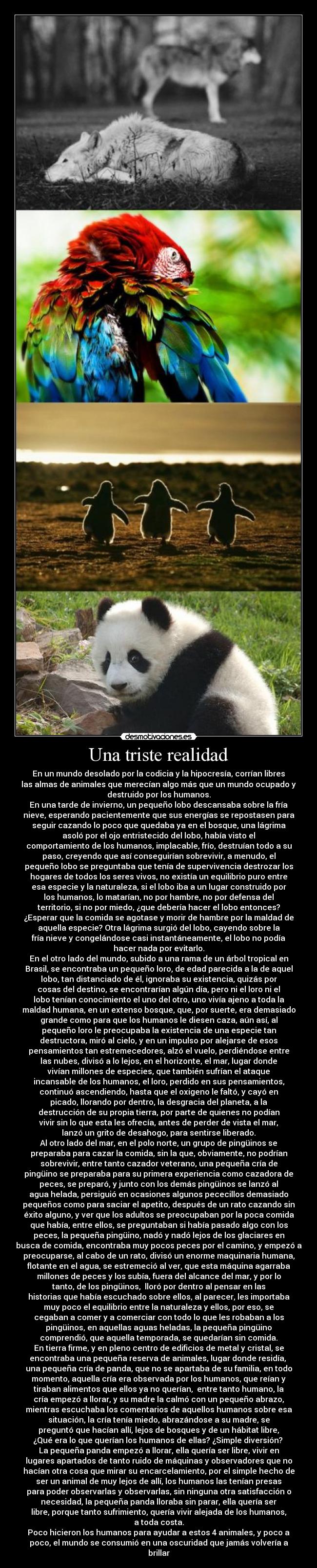 carteles humanos desmotivaciones