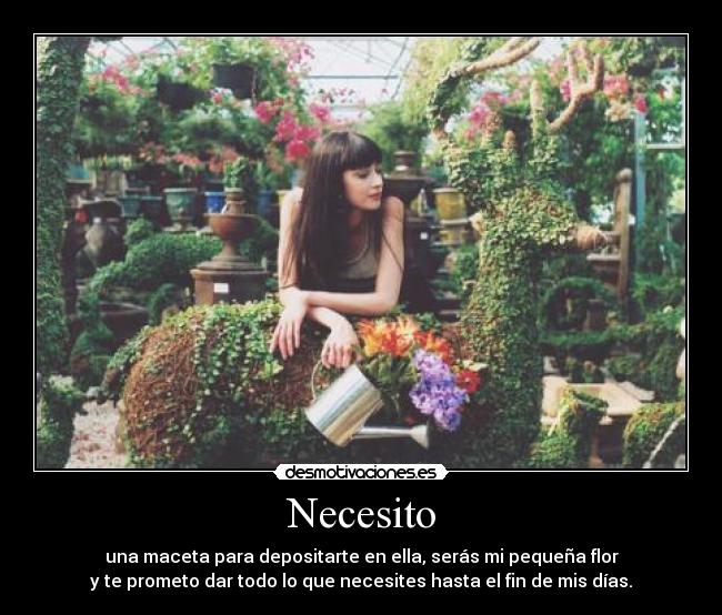 Necesito -