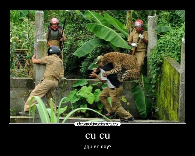 cu cu - ¿quien soy?
