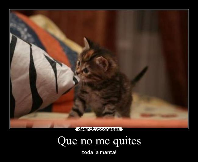 carteles quitar toda manta desmotivaciones