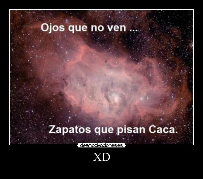 XD -