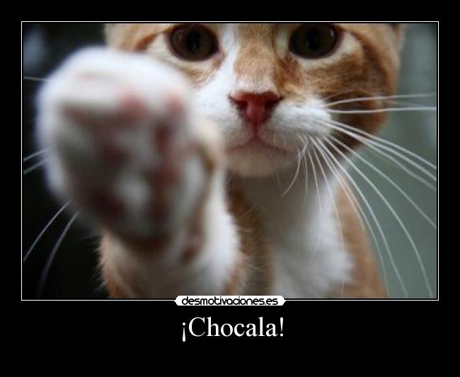 carteles chocala chocar choca cho choco desmotivaciones