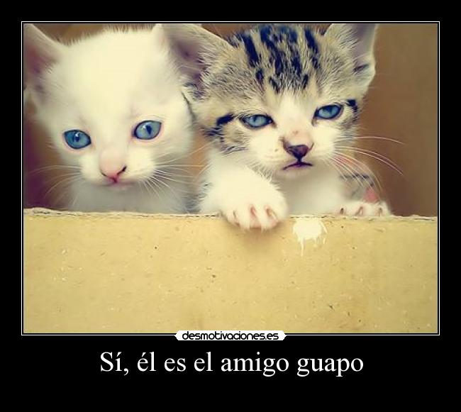 Sí, él es el amigo guapo - 