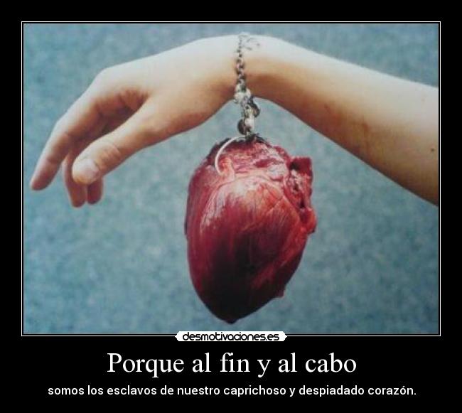 Porque al fin y al cabo - 