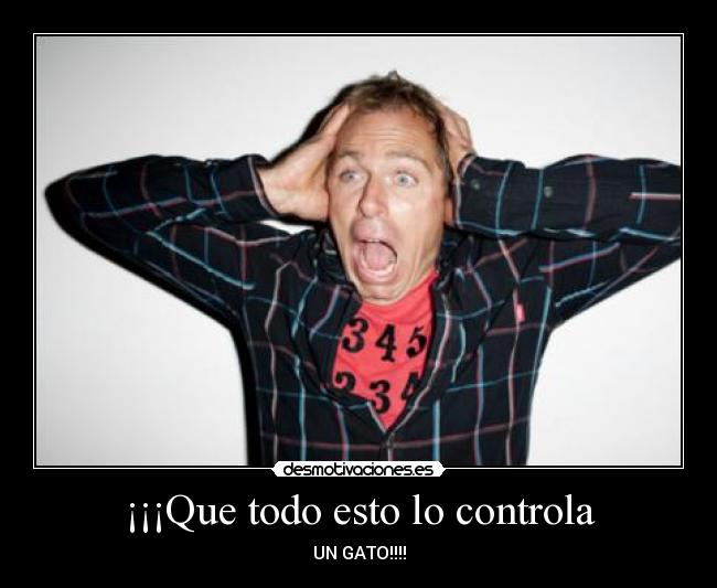 ¡¡¡Que todo esto lo controla - UN GATO!!!!