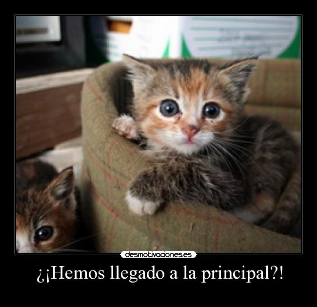 carteles  desmotivaciones