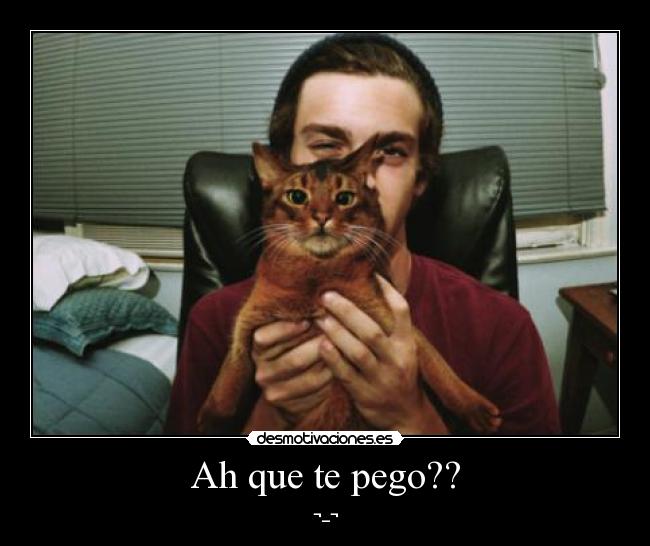 carteles ailyn desmotivaciones