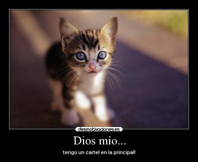 Dios mio... - tengo un cartel en la principal!