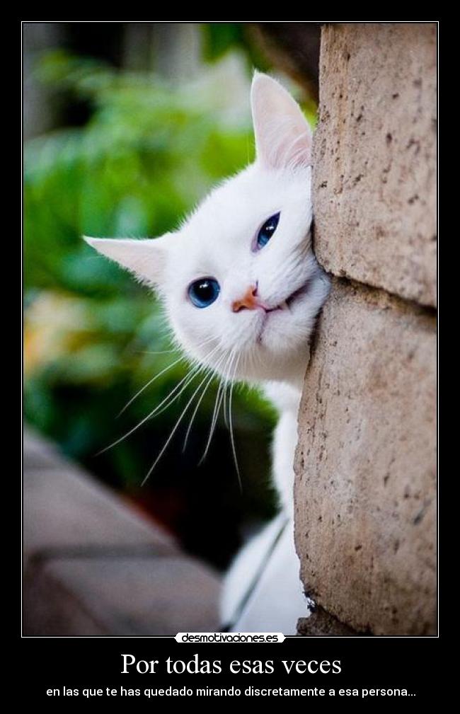 Por todas esas veces - en las que te has quedado mirando discretamente a esa persona...