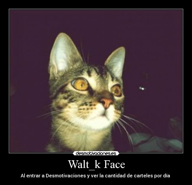 Walt_k Face - 
