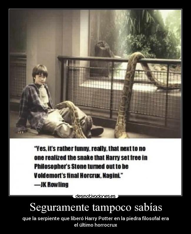 Seguramente tampoco sabías - 