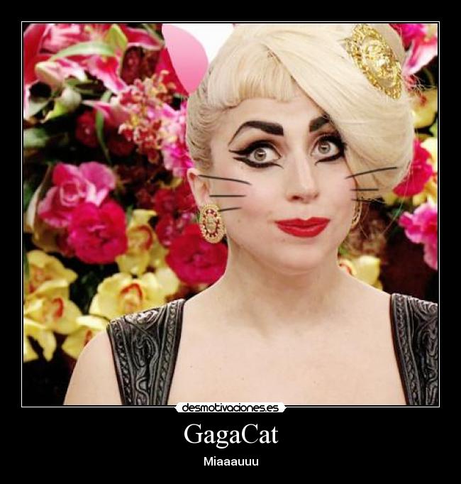 GagaCat - Miaaauuu