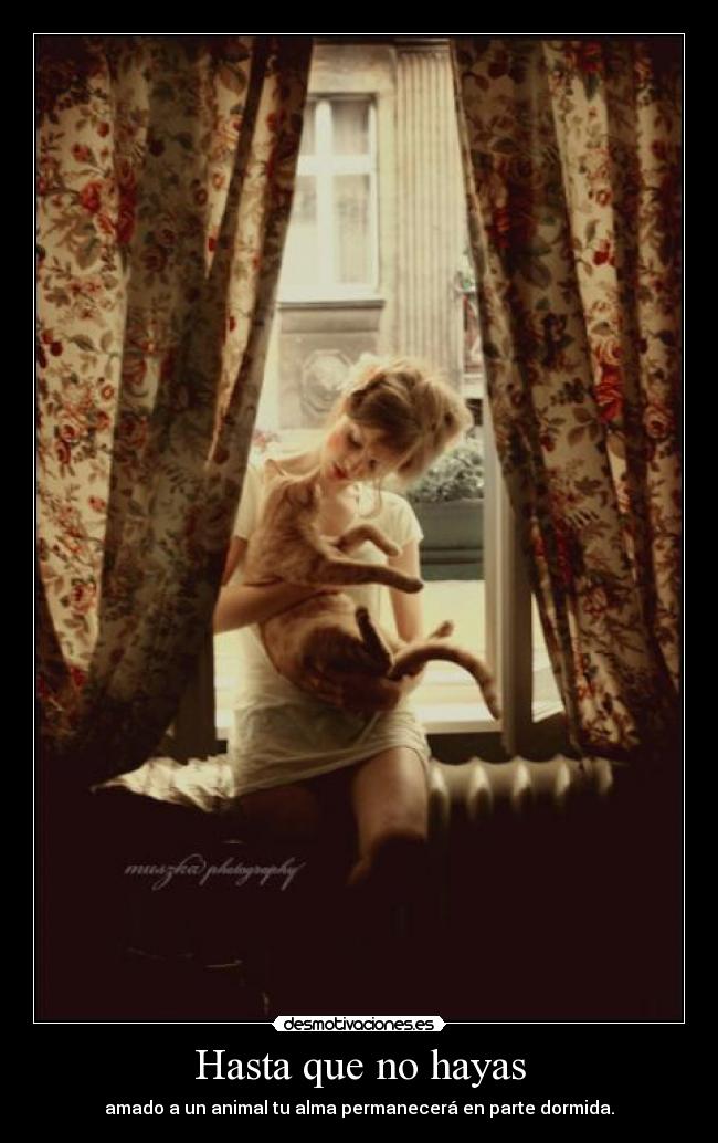 Hasta que no hayas - amado a un animal tu alma permanecerá en parte dormida.