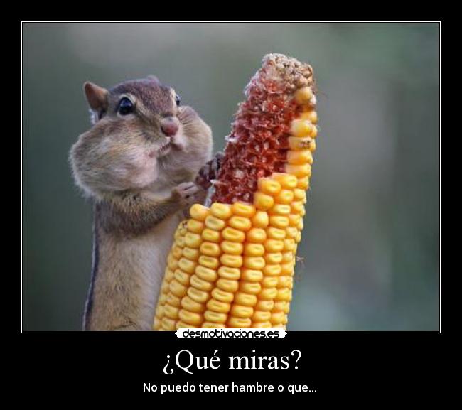 carteles afasf desmotivaciones