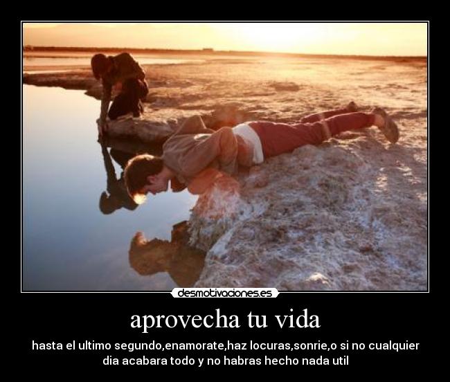 carteles vida vida asi desmotivaciones