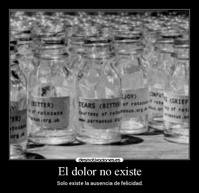 El dolor no existe - Solo existe la ausencia de felicidad.