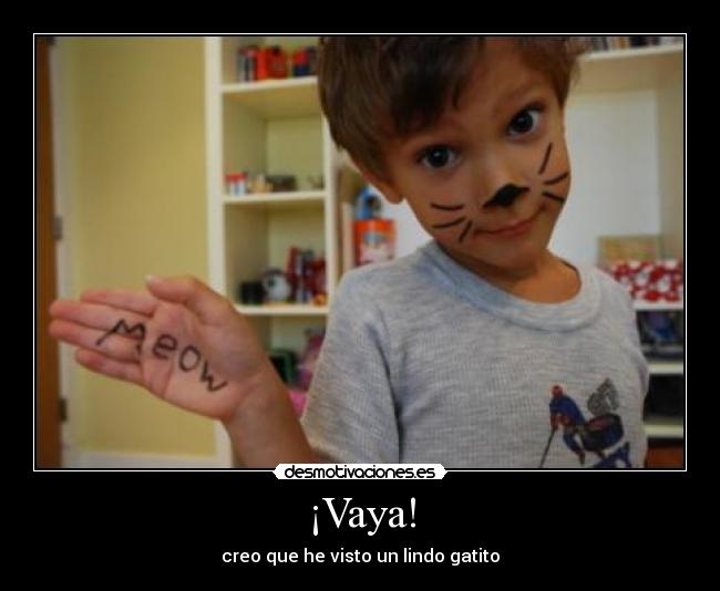 ¡Vaya! - creo que he visto un lindo gatito