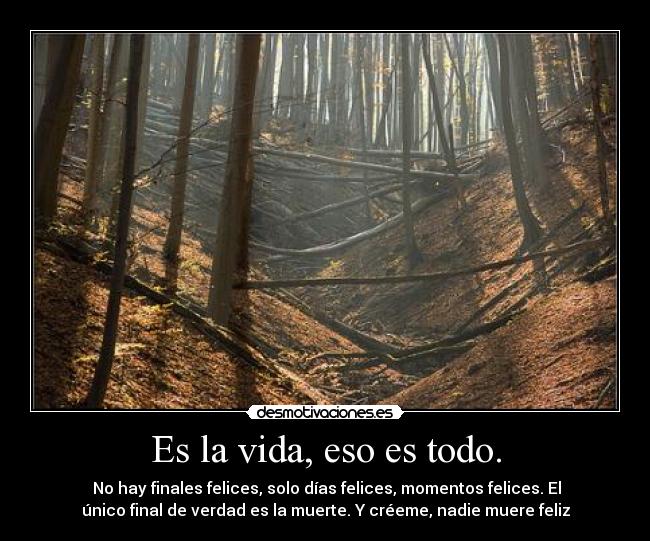 Es la vida, eso es todo. -  No hay finales felices, solo días felices, momentos felices. El
único final de verdad es la muerte. Y créeme, nadie muere feliz