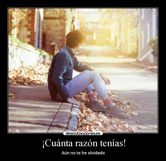 ¡Cuánta razón tenías! - Aún no te he olvidado