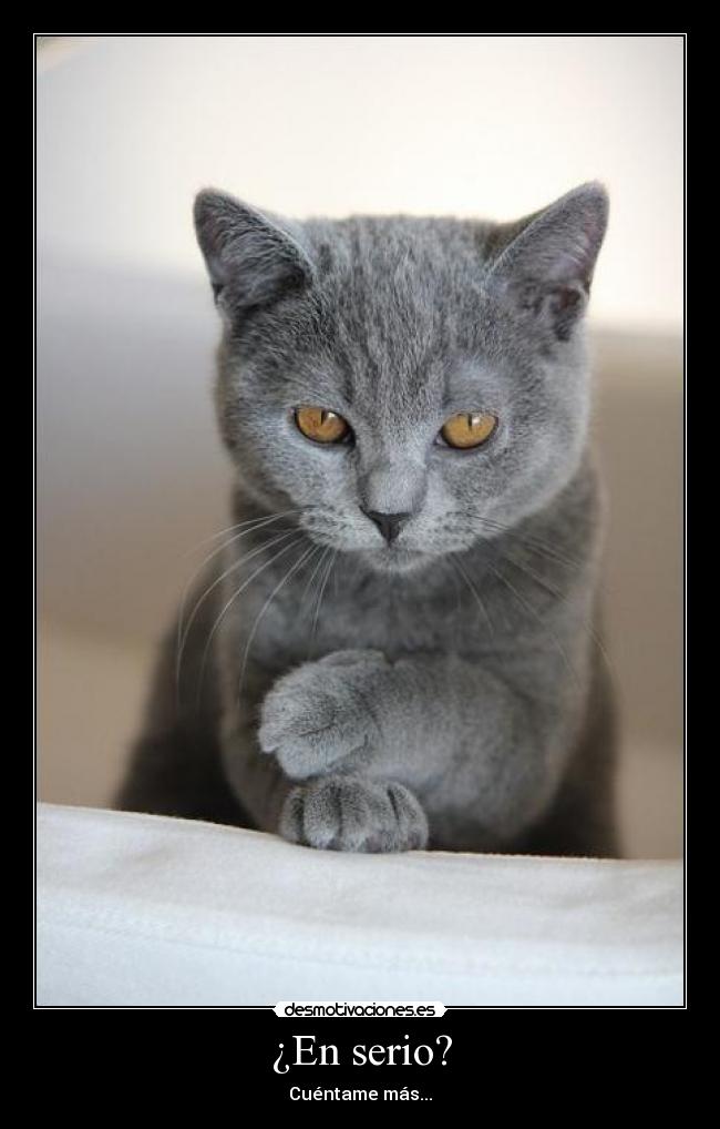 ¿En serio? -