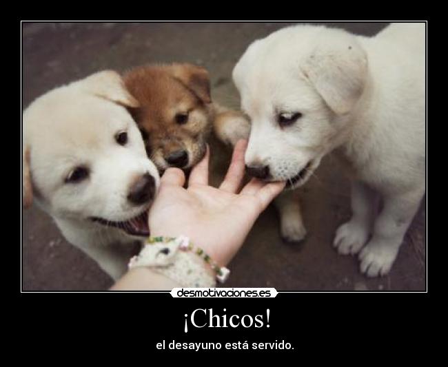 ¡Chicos! - el desayuno está servido.