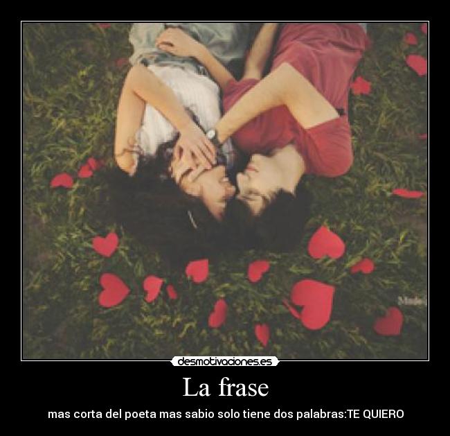 La frase - 