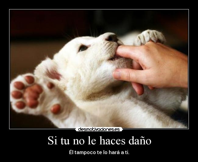 Si tu no le haces daño - Él tampoco te lo hará a ti.