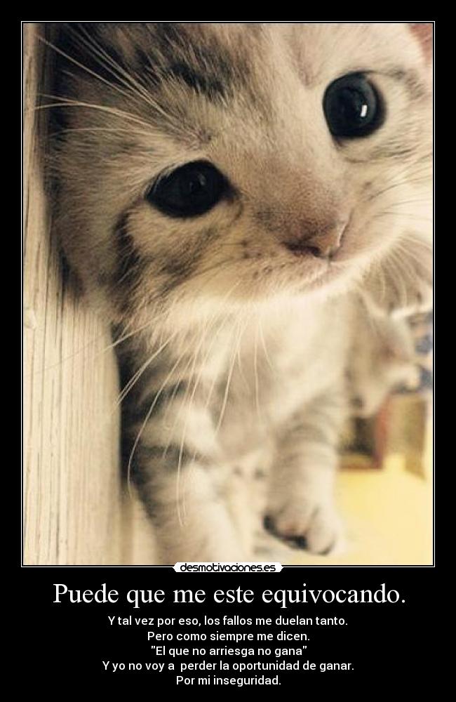 Puede que me este equivocando. -