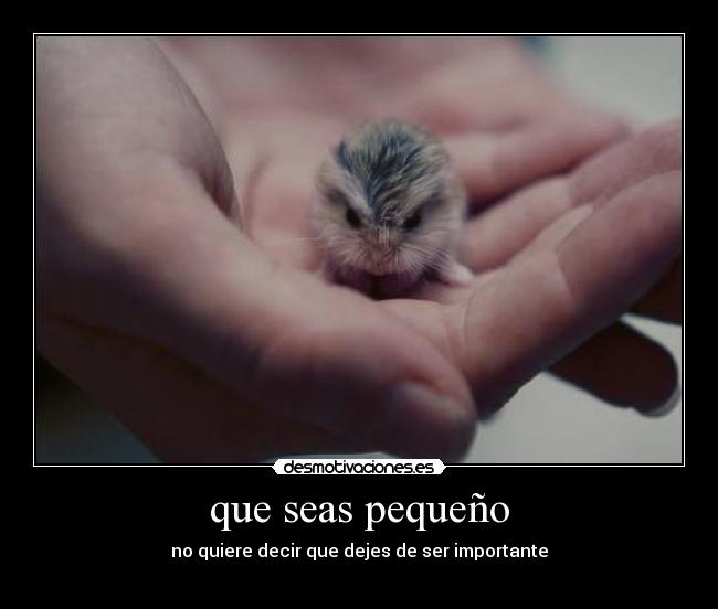 que seas pequeño -